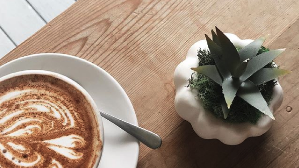 A hot pumpkin spice latte on a table next to a succulent, photographed from the top down.