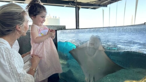 An image of a woman and a toddler looking at a stingray in its tank.