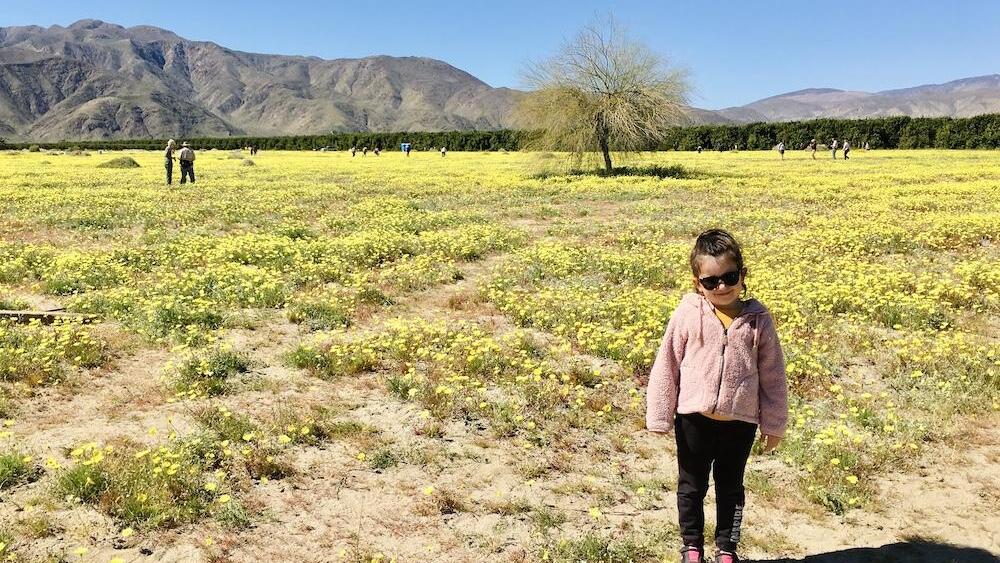 Anza-Borrego Desert State Park 2019