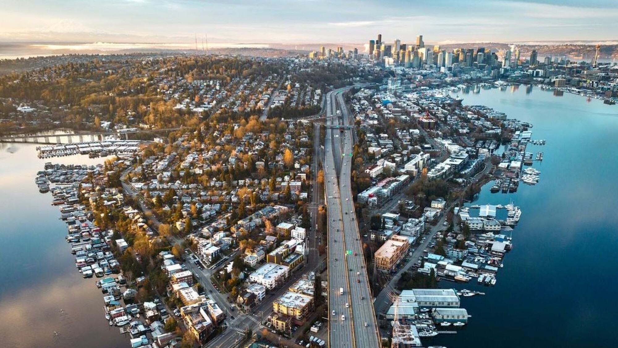 Seattle, WA will get a new 564 area code by 2025 since 206 numbers are ...