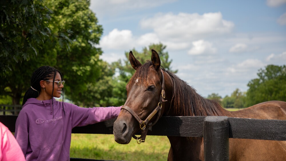 a girl stands next to a horse outside