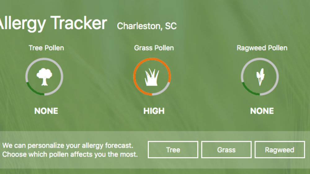 allergy tracker graphic