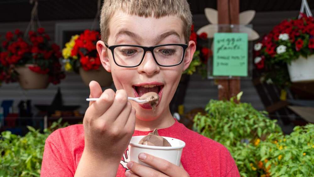 a boy eats chocolate ice cream from a dish