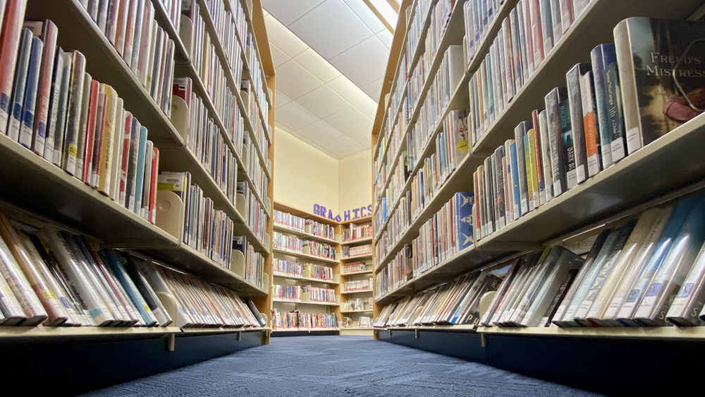 The shelves at Belmont Library, lined with books