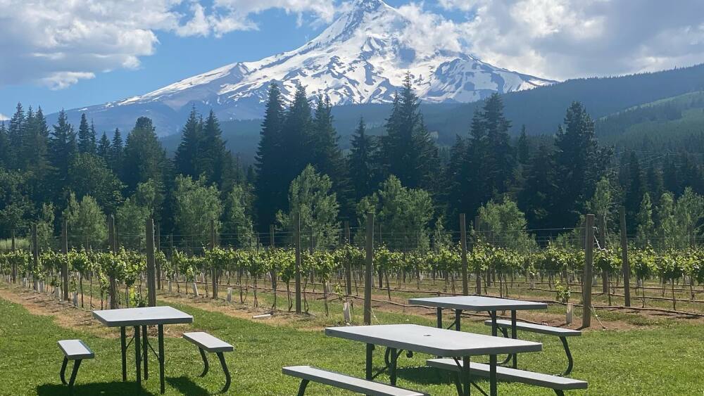 Two picnic tables rest on a grassy yard with a stunning view of Mount Hood in the backdrop.