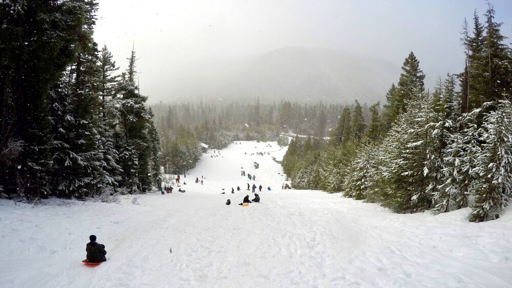 A view from the top of a long sledding hill flanked by trees on both sides.