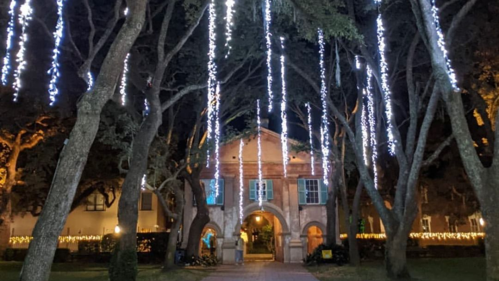 CHS_cougar_night_lights_NOV2022