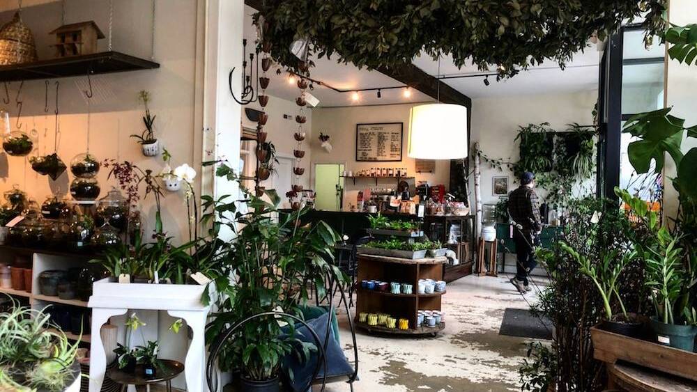 Flora coffee shop + plant store