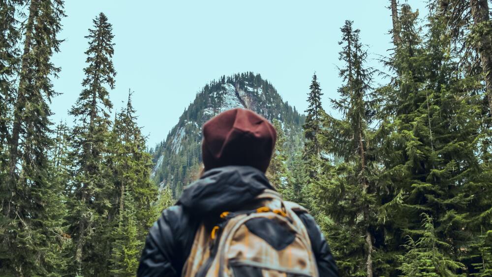 A person in a beanie and a backpack staring up at a tree-lined mountain.