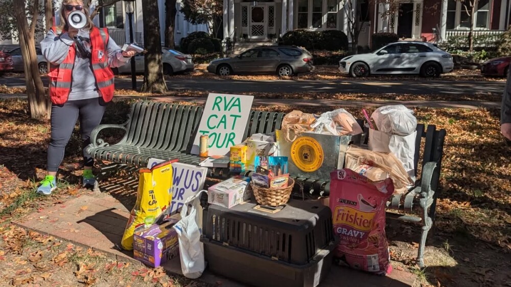 A gathering of donated pet goods on an outdoor bench; a person stands beside with a megaphone held up to their face.