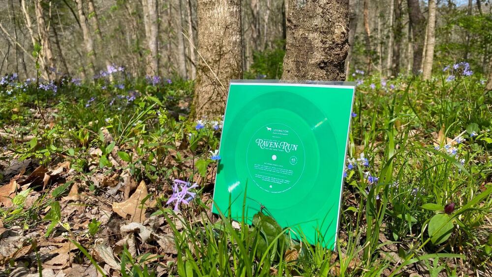 A green flexidisc with "Raven Run" written on the front, sitting in a field of grass and flowers.