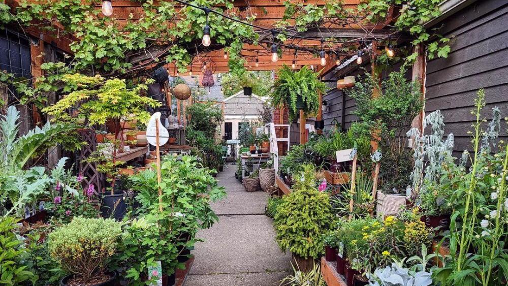 A plant store in Sellwood