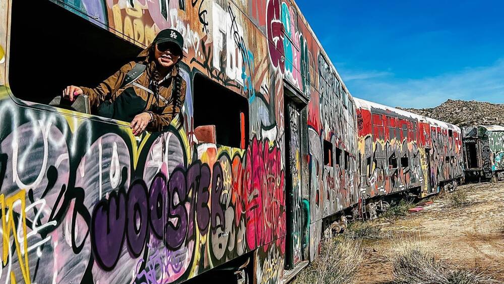 Abandoned train on Goat Canyon trestle in San Diego