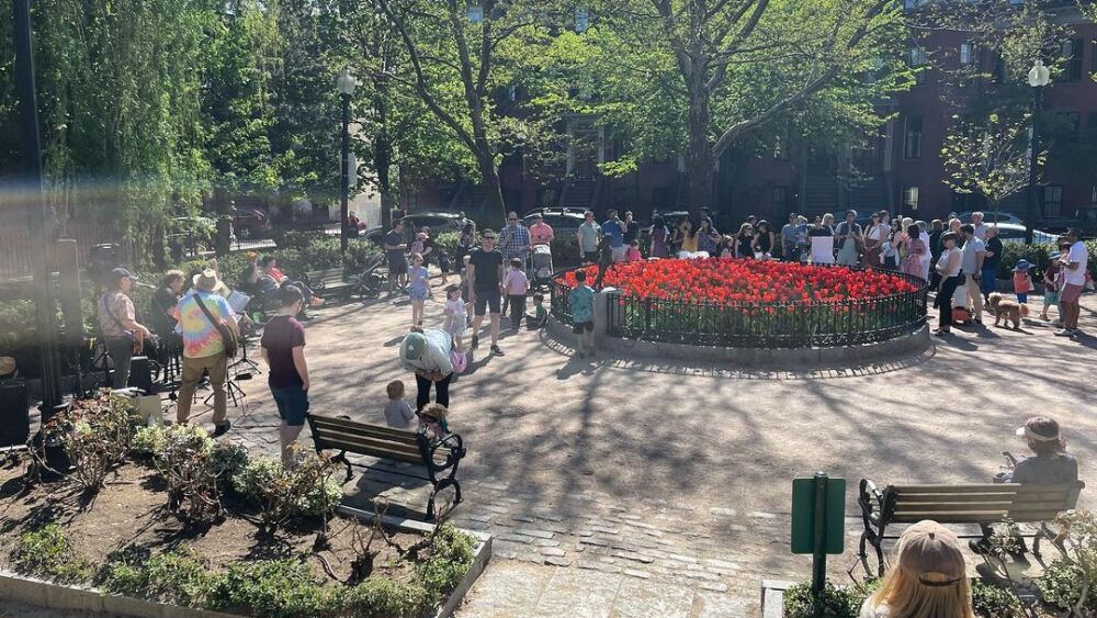 An event at Hayes Park in the South End