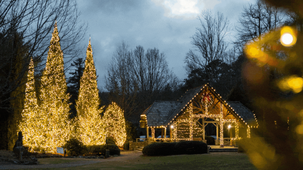 A GIF of holiday lights in Jackson County, NC.