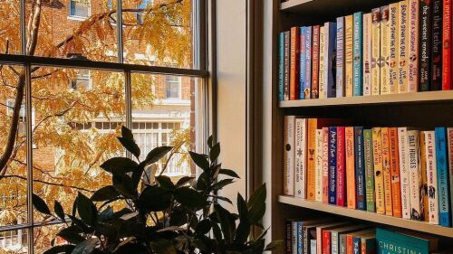 A bookshelf next to a window at Beacon Hill Bookstore.