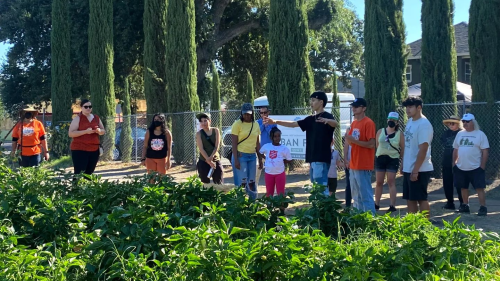 A group of people are seen gesticulating on the edge of a garden