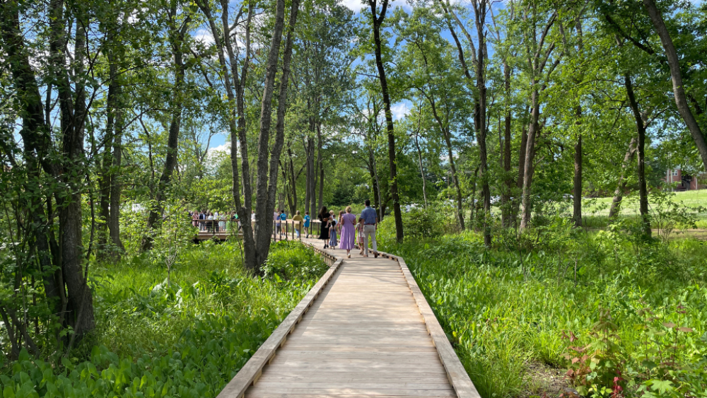 Boardwalk at Reedy River Wetlands Preserve in Unity Park