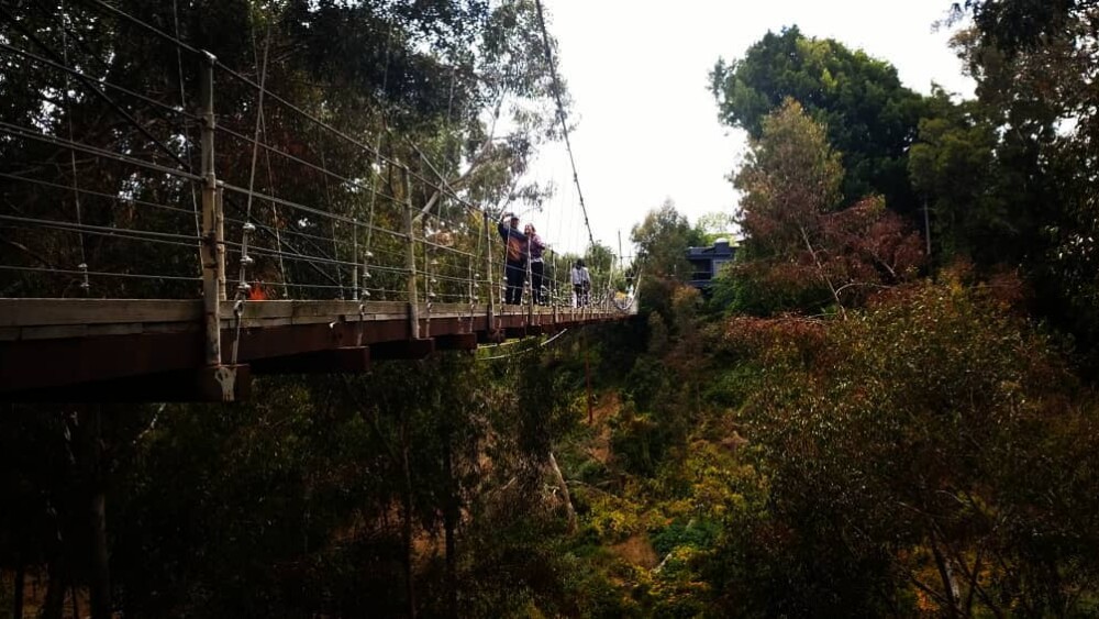 Spruce Street Suspension Bridge