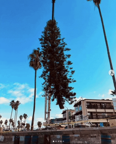 Installing the OB Christmas tree 2022