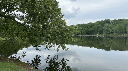 A lush park area with a lake as the main focus.