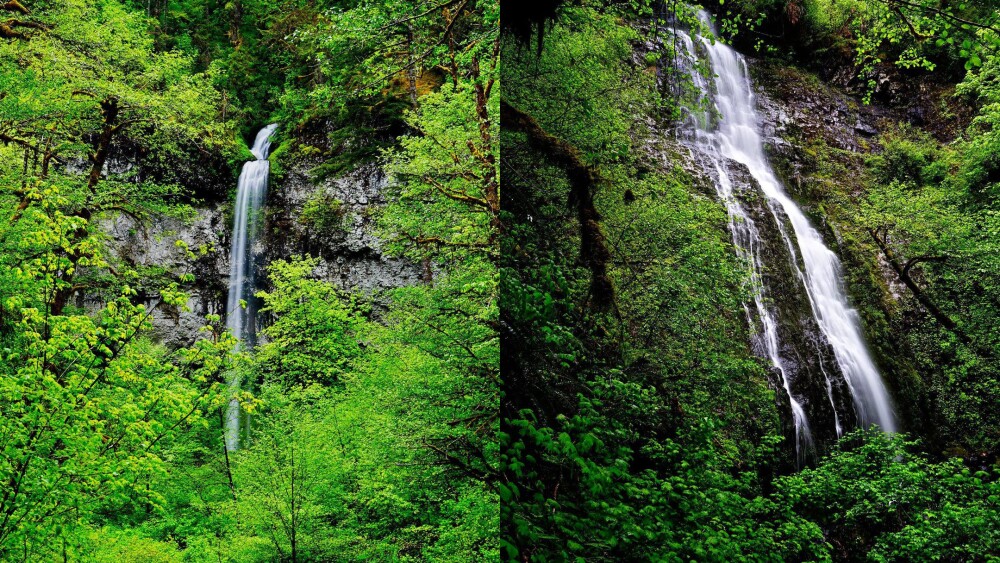 A side by side of two waterfalls cascading among vibrant green maple trees