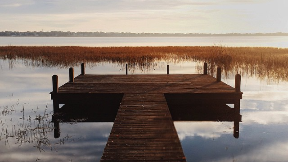 A wooden dock over an Auburndale lake surrounded by tall grasses