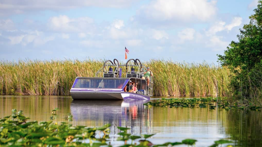 Screen Shot 2019-09-16 at 2.58.05 PM