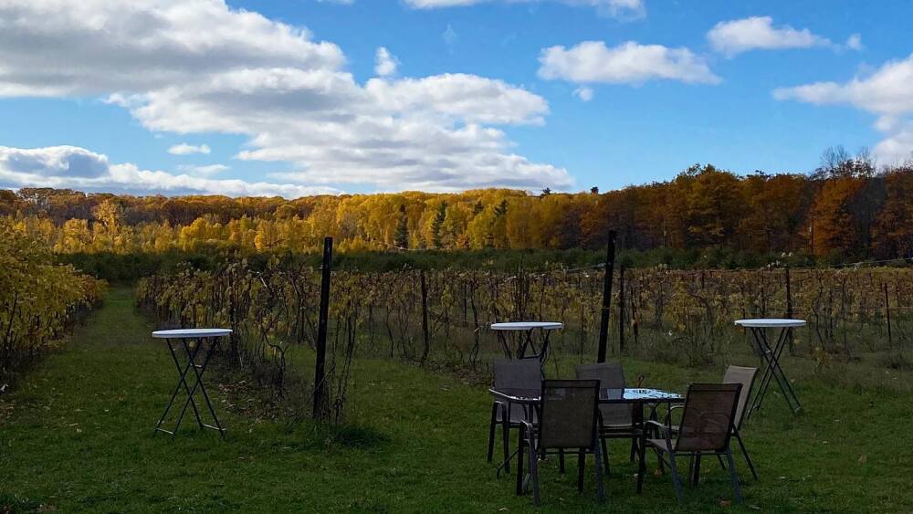 bayfield winery