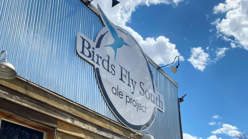 GVLtoday Birds Fly South