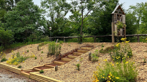 gvl_The Henderson Meadow Interpretative Pollinator Garden conestee nature preserve_may 23