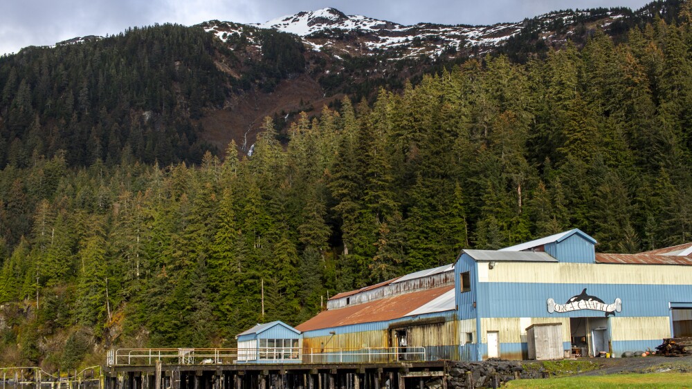 A rundown cannery building and dock sits at the base of a forested hill