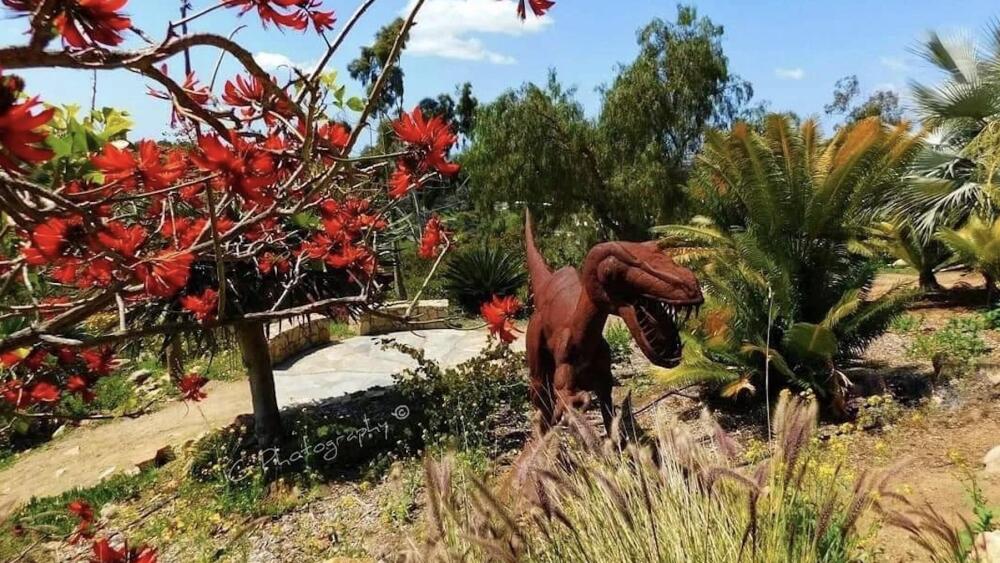 Alta Vista Botanical Gardens