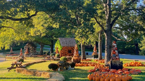 Cheekwood-Fall-Festival-NASHtoday-Sept-2022