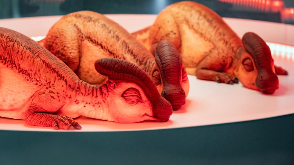 Jurassic Park The Exhibition San Diego