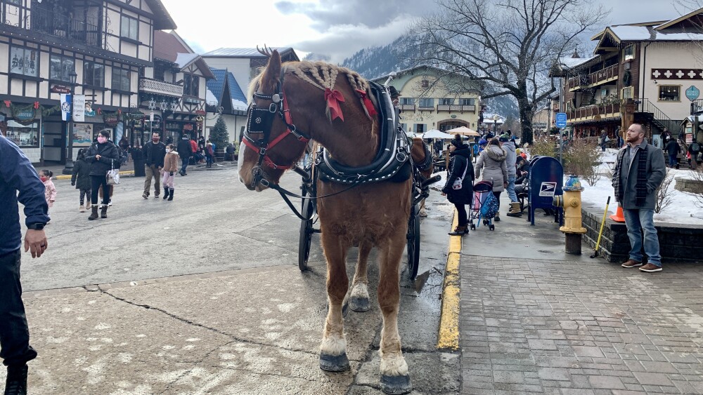 A horse pulling a carriage waits near a sidewalk.