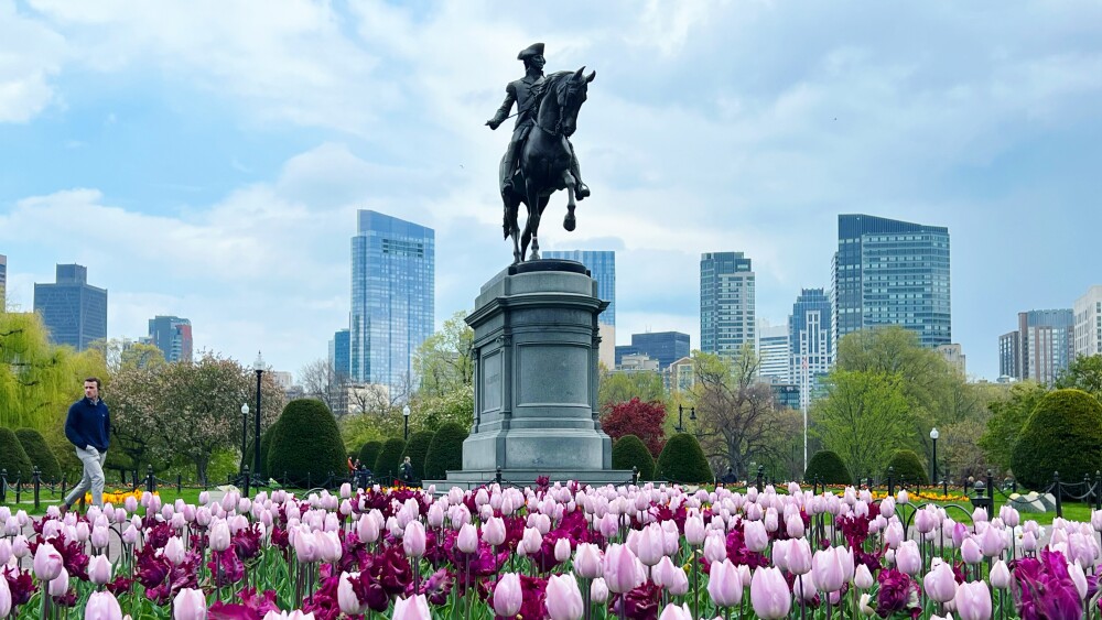 BOS-Photo-of-the-Year-Finalist-Tulips-Public-Garden-2024