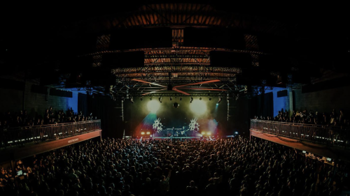 NOOGAtoday | The Signal