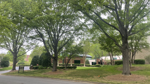 Tree-lined road with brick building in the background. A "for sale" sign is next to to the entrance.