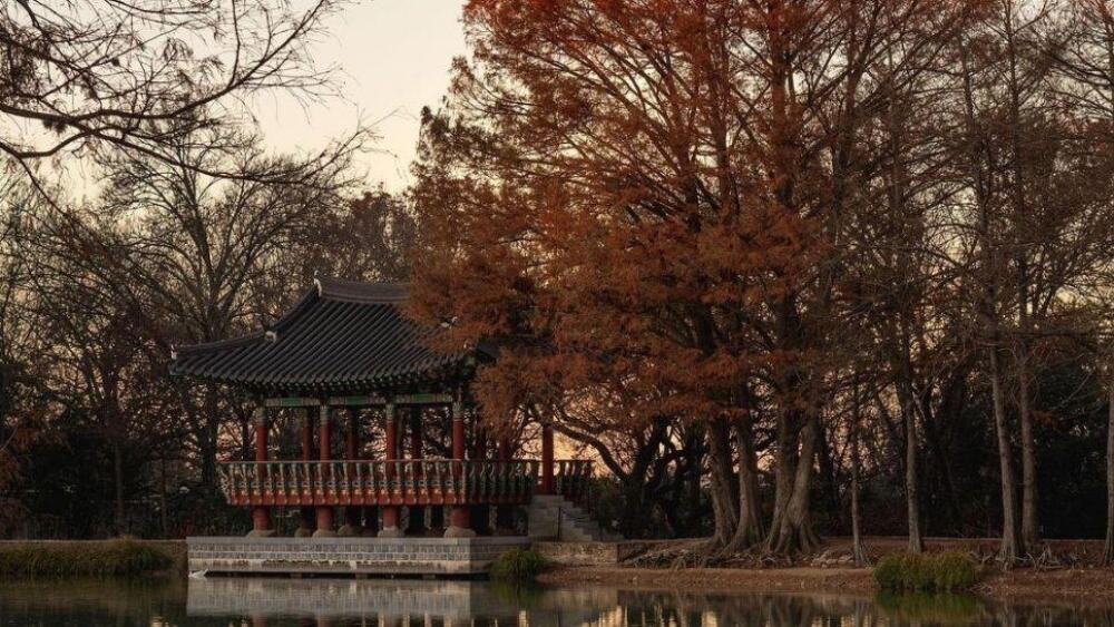 denman-estate-park-1-WP Resize