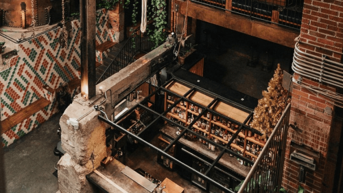 A photo looking down at the bar in Old Glory with green vines hanging from the brick wall.