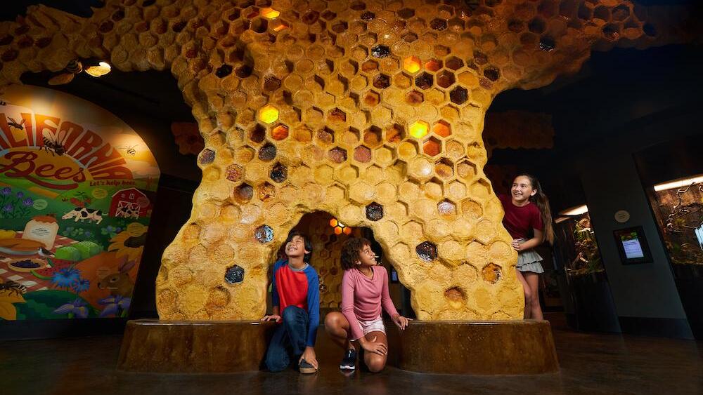 Wildlife Explorers Basecamp at the San Diego Zoo