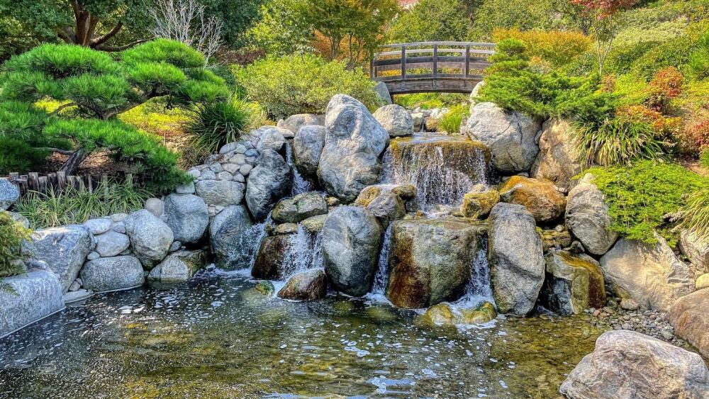 The Japanese Friendship Garden in Balboa Park.