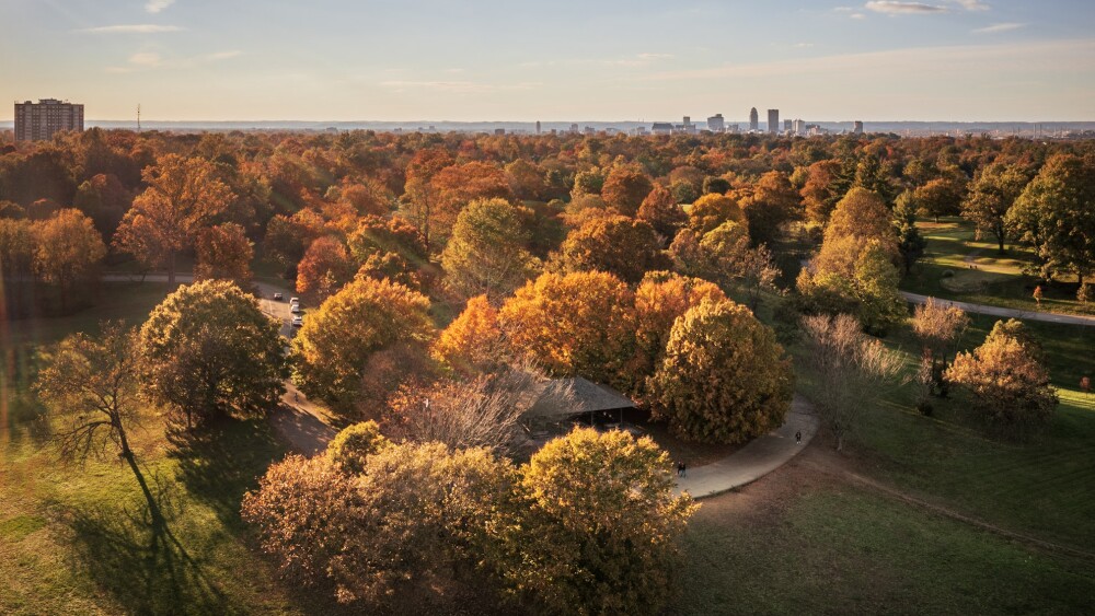 Fall leaves filling the trees at Louisville's Cherokee Park, with the downtown skyline in the background.