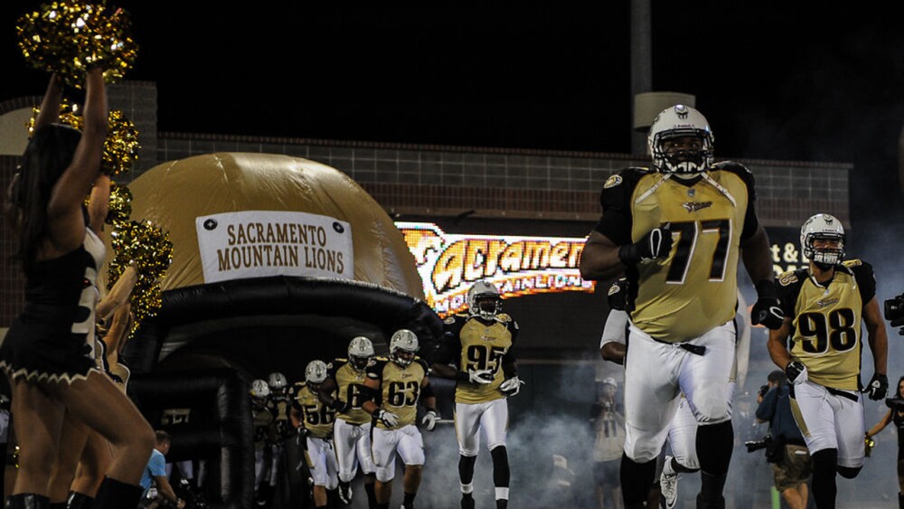 SACtoday_mountain_lions